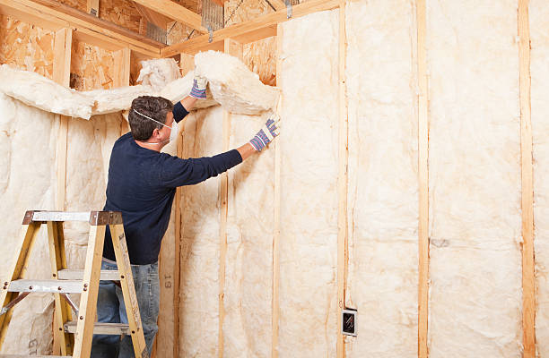 Best Soundproof Insulation  in Fishersville, VA